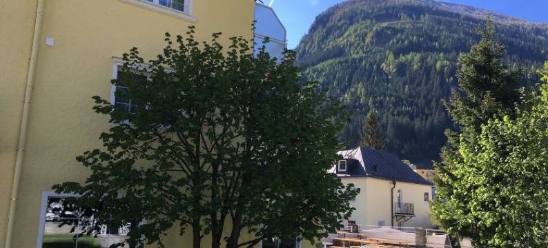 林登霍夫精品酒店(Hotel Lindenhof)图片