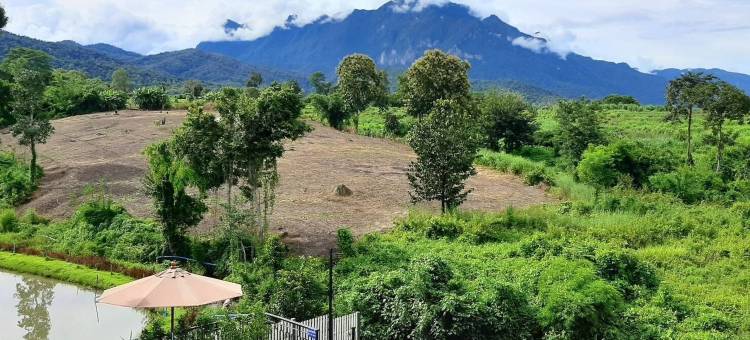 布拉普哈特度假村(Buraphat Resort)图片