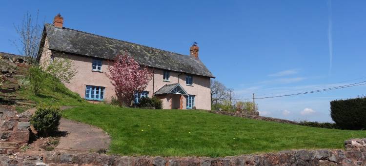 旧乳业巴顿主教住宿加早餐旅馆(The Old Dairy at Bishops Barton)图片