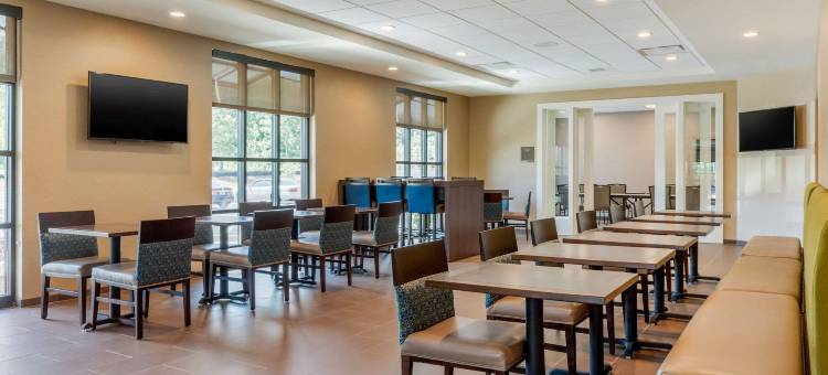 舒适套房旅馆(Comfort Inn & Suites)图片