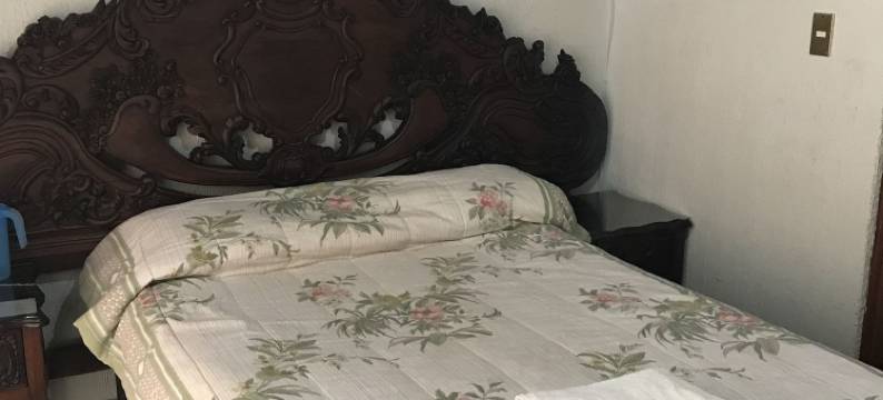 莫纳尔卡酒店(Hotel Monarca)图片