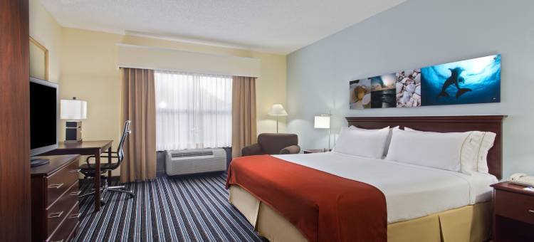 Holiday Inn Express & Suites CLEARWATER北/达尼丁(Holiday Inn Express & Suites Clearwater North/Dunedin)图片