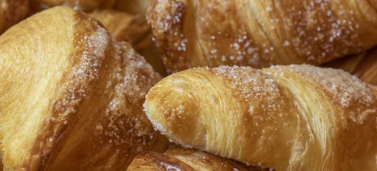 格拉维纳集团酒店(Grupotel Gravina)图片