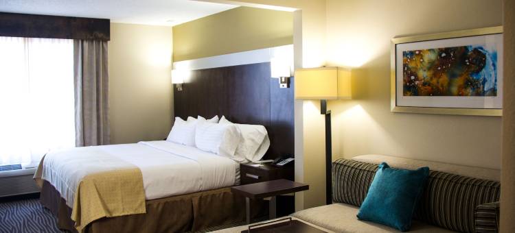 埃尔帕索机场假日酒店(Holiday Inn El Paso Airport)图片