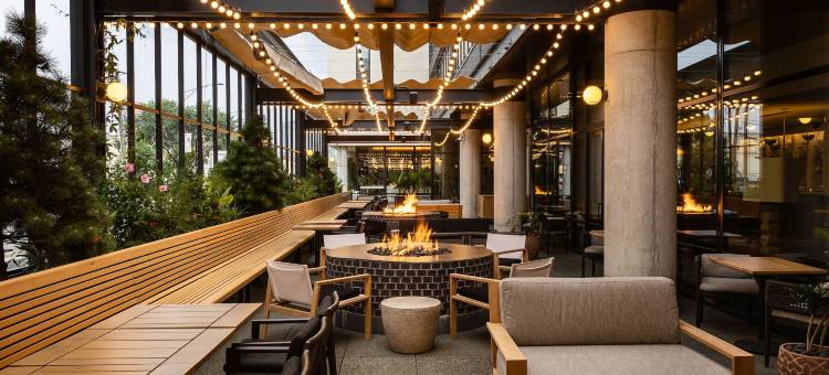 艾蜜莉酒店(The Emily Hotel)图片