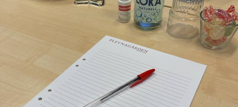 普乐纳花园酒店(Hotell Plevnagården)图片