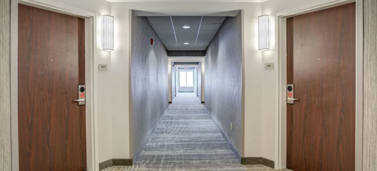 SpringHill Suites Gainesville图片