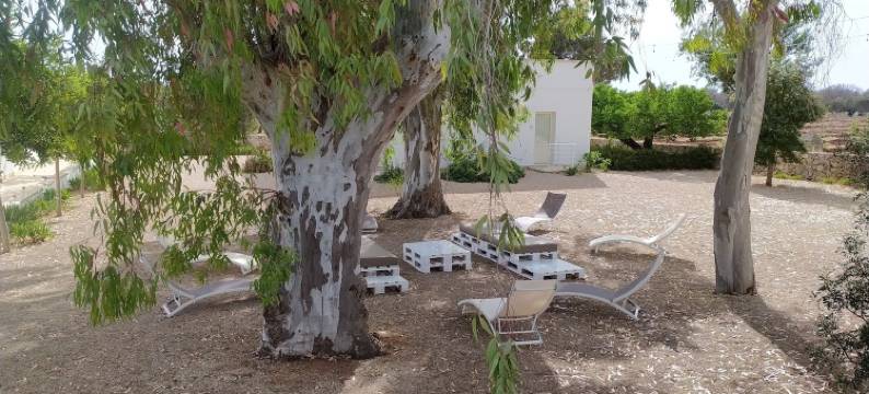 特雷阿玛雷农庄酒店(TerreAmare Agriturismo)图片