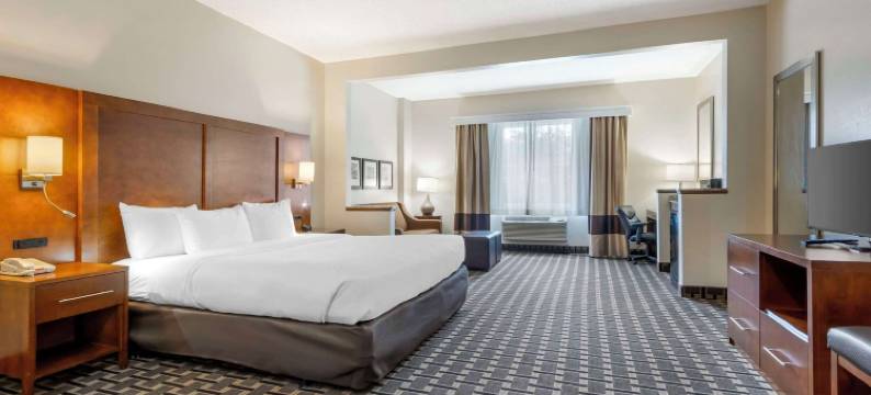 萨默维尔 - 查尔斯顿舒适酒店(Comfort Inn Summerville - Charleston)图片