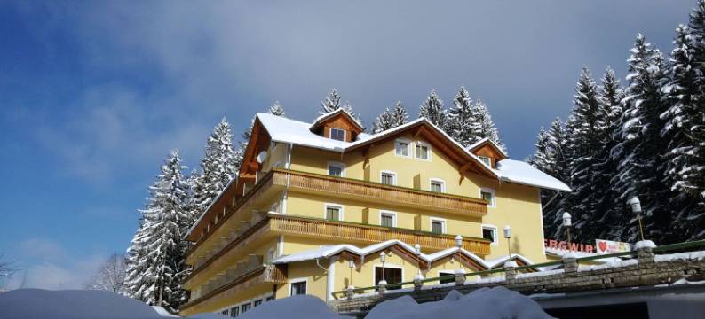 利比内斯特贝格沃特精品酒店(LiebesNesterl Bergwirt - Boutique Hotel)图片