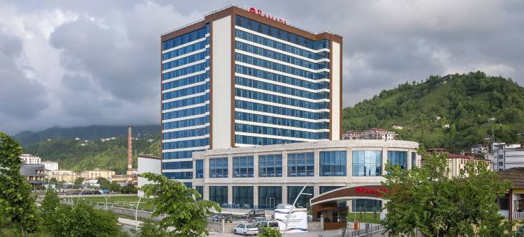 里泽温德姆华美达广场酒店(Ramada Plaza by Wyndham Rize)图片