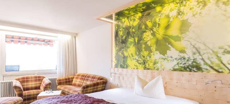 霍赫瓦尔德公寓(Hotel Hochwald)图片