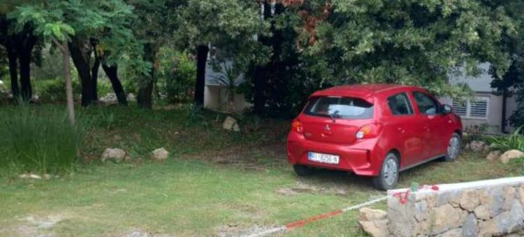 帕利特绿角旅馆(Guest House Green Corner Palit)图片