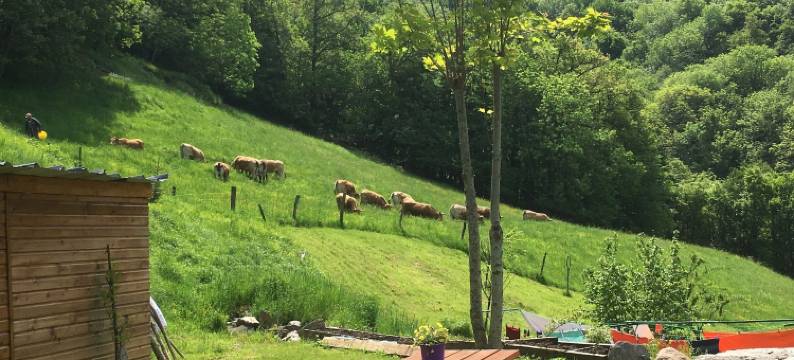 乐帕杜巴斯酒店(Chambres d'hôtes le Lepadou-Bas)图片