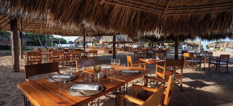 伊贝罗斯塔精选哈仙达多米尼酒店 - 全包式(Iberostar Selection Hacienda Dominicus - All Inclusive)图片