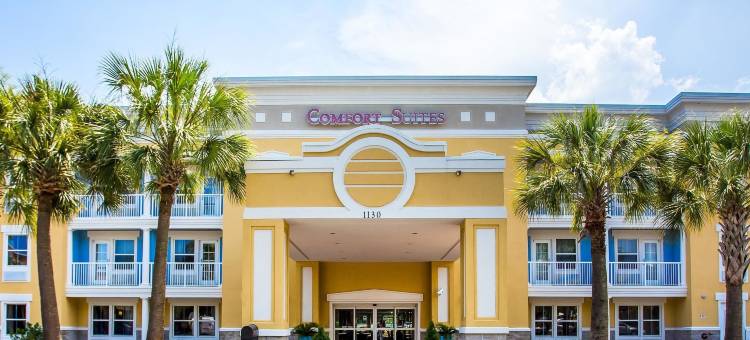 棕榈岛科耐特舒适套房酒店(Comfort Suites at Isle of Palms Connector)图片