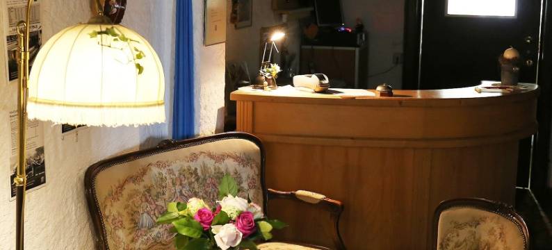 霍亨华特博丁酒店(Hotel Boarding House Hohenwart)图片