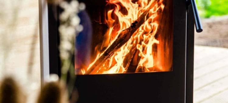 法特洛奇Tomke在Nes(Waterlodge Tomke in Nes)图片