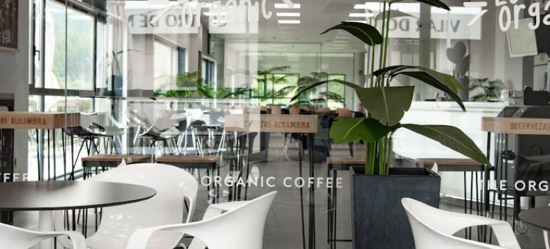 芬尼酒店薯条(Hotel Chips Fene)图片