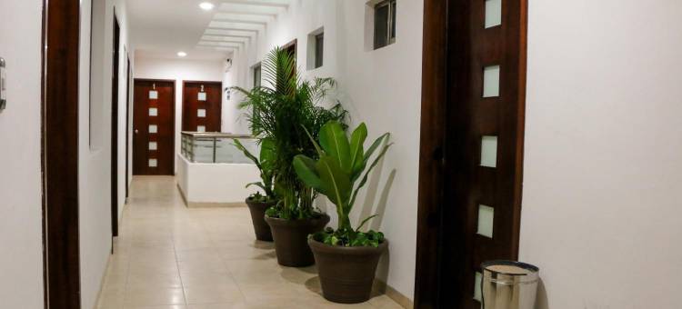 普拉亚琳达酒店(Playa Linda Hotel)图片
