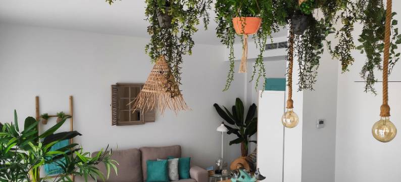 海洋套房民宿(Marsuites B&B)图片