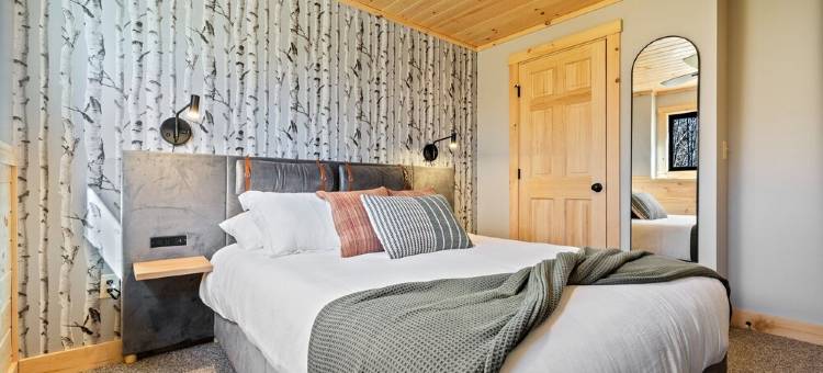 New Chalet: 8 mi to Sunday River+Pano Views+Hottub+Sauna+Dogok图片