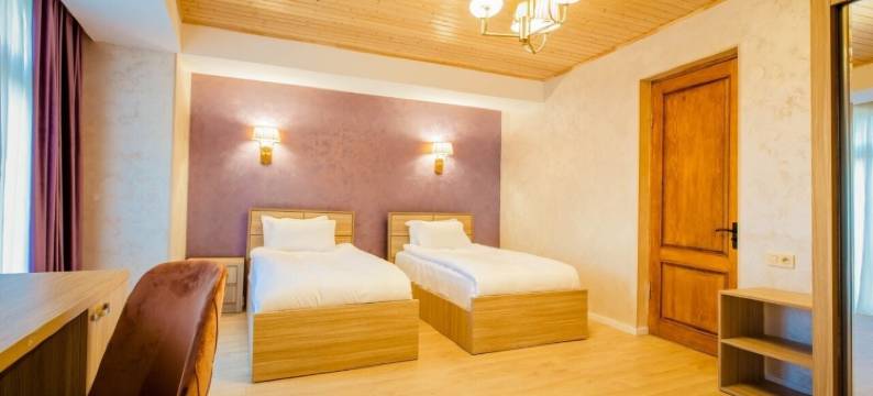 梅斯蒂亚酒店(Hotel Mestia Inn)图片