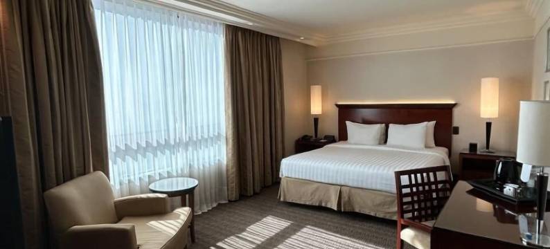 波多黎各马德罗富豪太平洋酒店(Regal Pacific Puerto Madero)图片