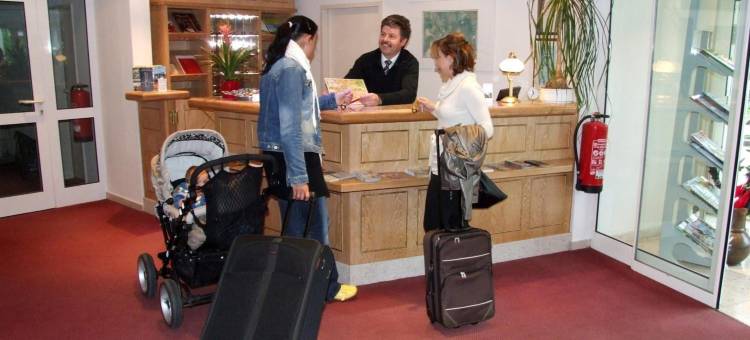 佩斯特维泽尔西格尔酒店(Hotel Pesterwitzer Siegel)图片