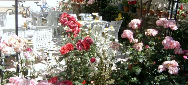 赛苏瓦和平裴森酒店(Sehsuvar Peace Pension)图片