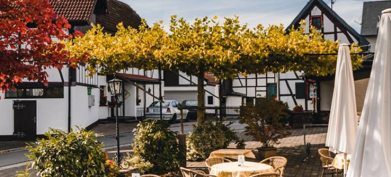 法尔兹兰德酒店(Landgasthaus Pfahl)图片