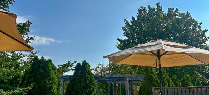 绿洲海湾假日套房酒店(Oasis by the Bay Vacation Suites)图片