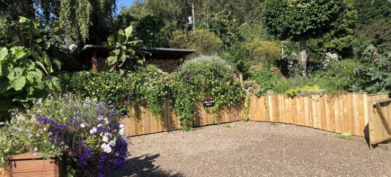 鸟语乡间房屋民宿(Birdsong Cottage B&B)图片