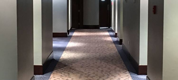 阿布扎比金斯盖特酒店(Kingsgate Abu Dhabi)图片