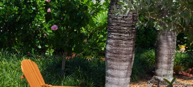 大西洋宾馆(Atlantic Hideaway)图片