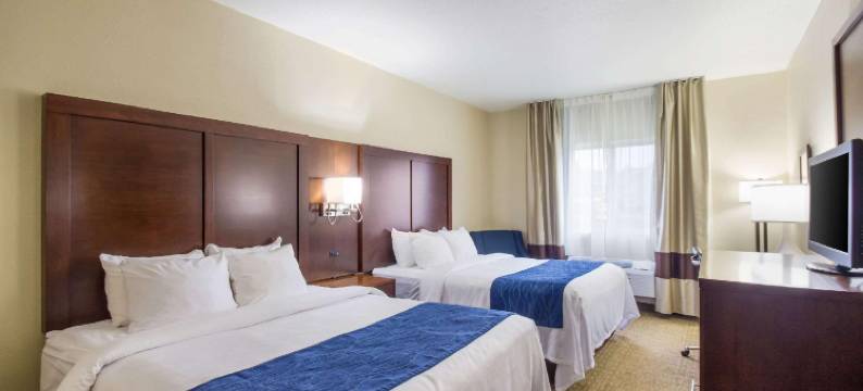 品质酒店及套房(Quality Inn & Suites)图片