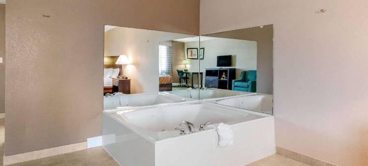 内德兰阿瑟港凯艺套房酒店(Quality Inn & Suites Port Arthur - Nederland)图片