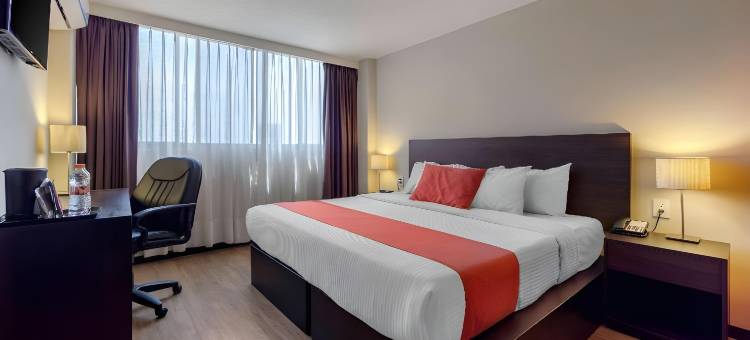 圣路易斯波托西舒适酒店(Comfort Inn San Luis Potosi)图片