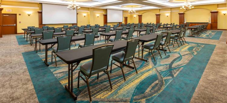 圣路易斯-切斯特菲尔德德鲁里广场酒店(Drury Plaza Hotel St. Louis Chesterfield)图片