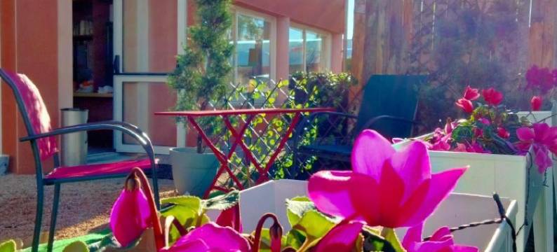 德尔图尔勒普恩维利吉利亚德直营酒店(Deltour Hotel le Puy En Velay)图片