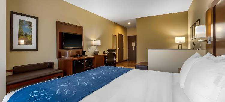 舒适套房酒店(Comfort Suites)图片