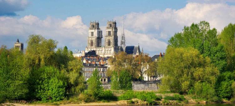 阿德吉奥阿克瑟斯奥尔良公寓式酒店(Aparthotel Adagio Access Orléans)图片