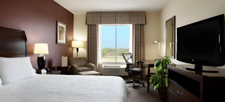 纽布朗费尔斯希尔顿花园酒店(Hilton Garden Inn New Braunfels)图片