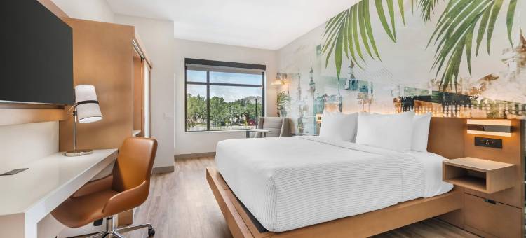 坦帕布兰登坎布里亚酒店(Cambria Hotel Tampa-Brandon)图片