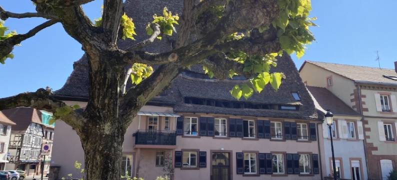 Villa 1907 Wissembourg图片