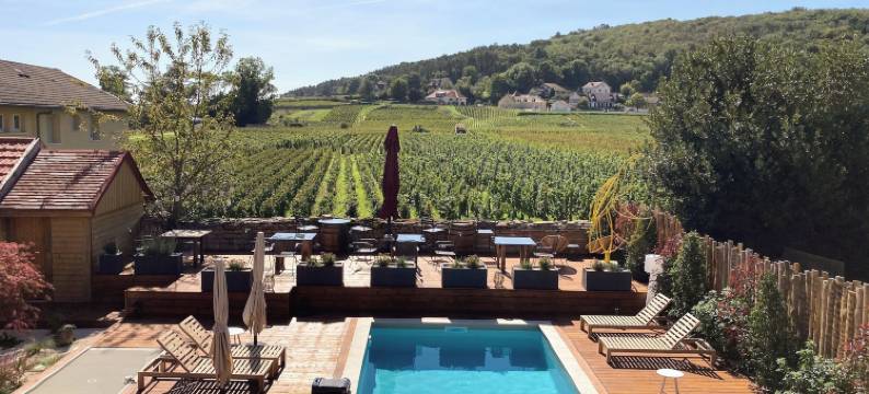 莱斯德舍夫尔酒店 热夫雷-香贝丹(Hôtel les Deux Chèvres Gevrey-Chambertin)图片