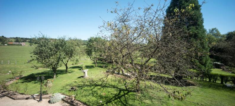 Apartment in Darney with Meadow Views图片