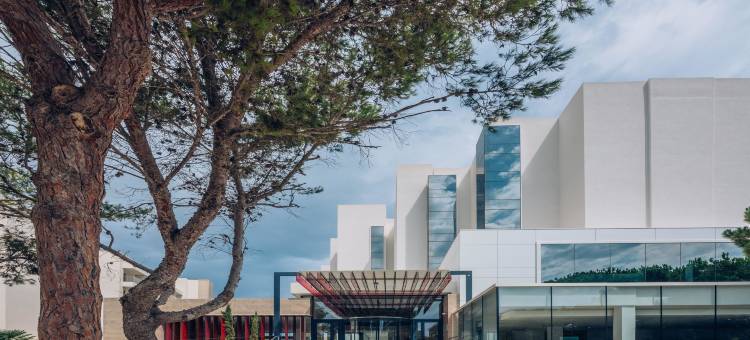 卡拉米洛伊波罗之星波浪酒店 - 仅供成人入住(Iberostar Waves Cala Millor - Adults Only)图片