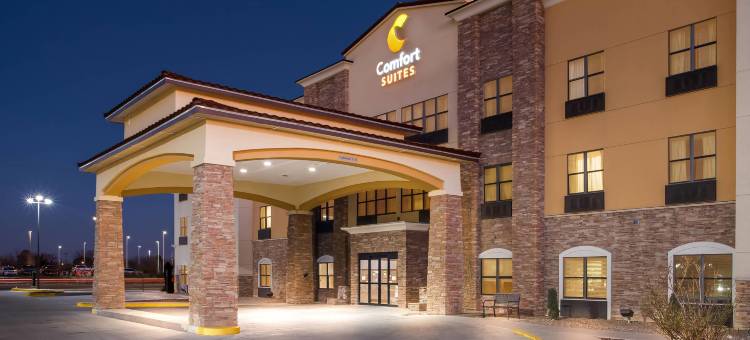 舒适套房酒店(Comfort Suites)图片