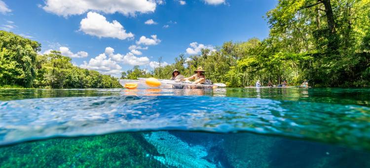 奥卡拉公园中心贝斯特韦斯特酒店(Best Western Ocala Park Centre)图片